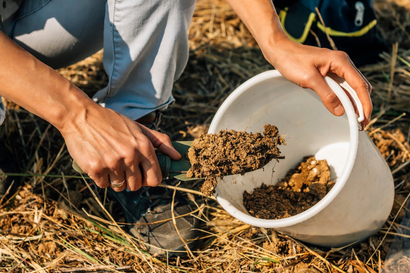 soil fertility analysis. female agronomist taking soil samples